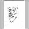 encre_portrait_conseille.jpg